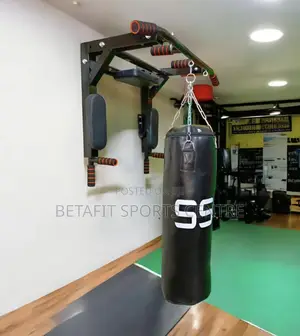 Wall Mount Pull Up for Home Gym