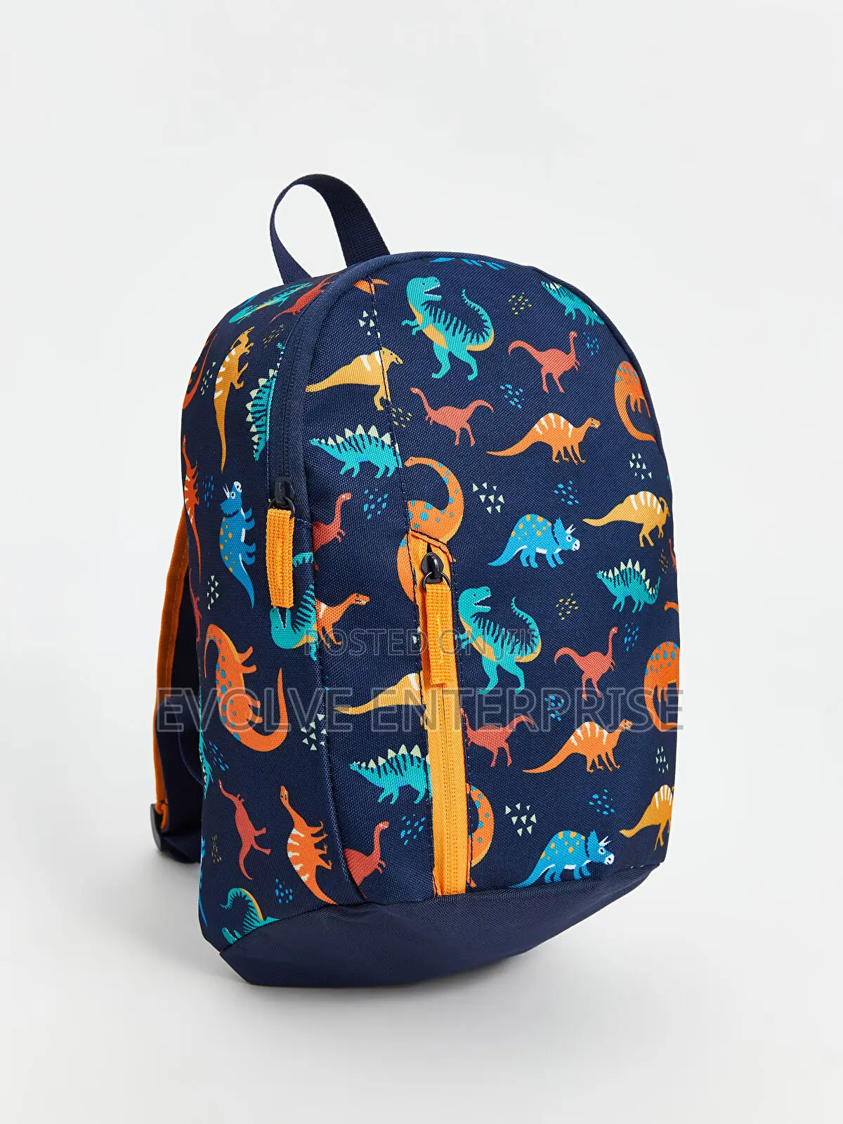 Dinosaur Printed Boys' Backpack