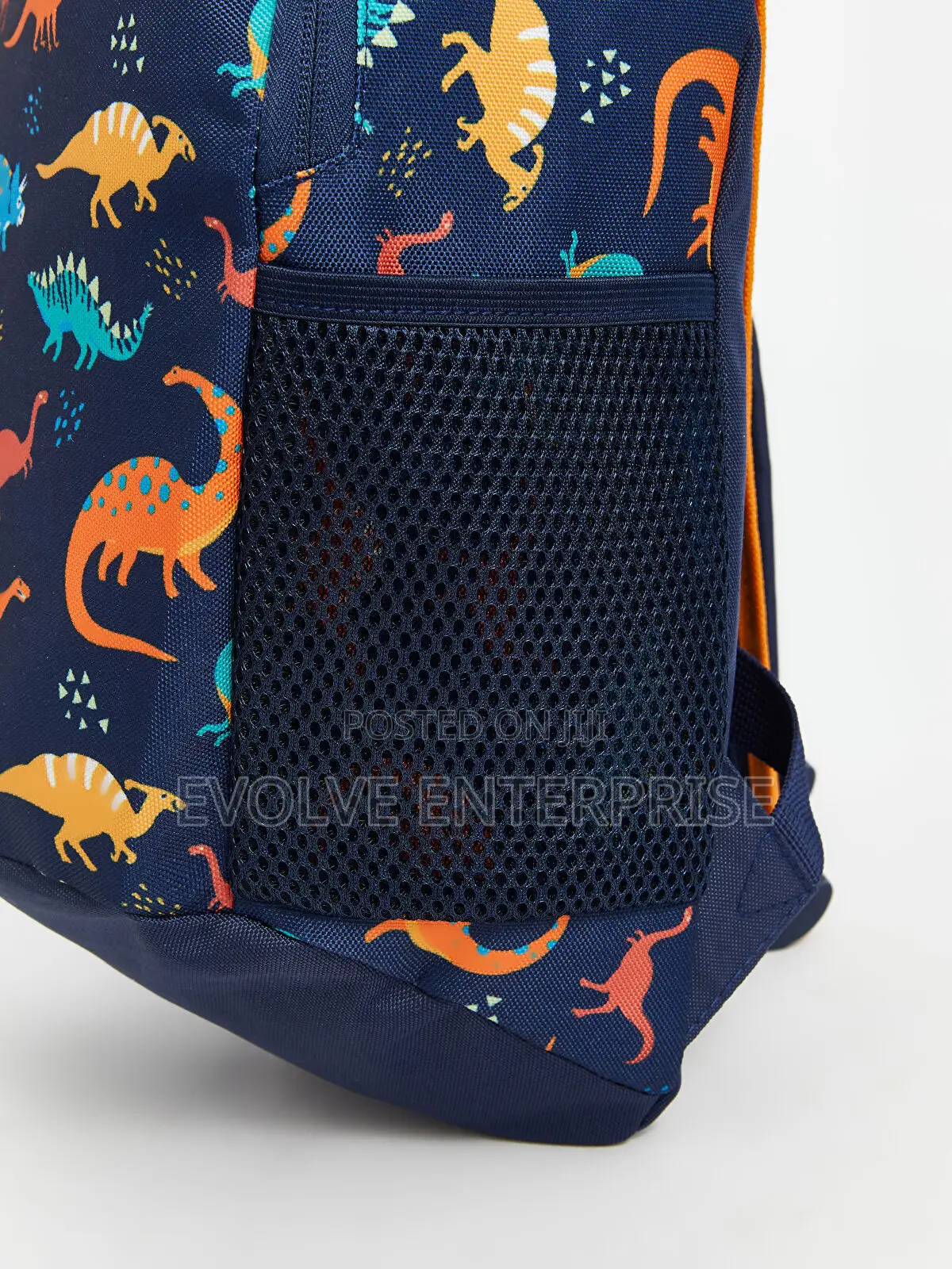 Dinosaur Printed Boys' Backpack
