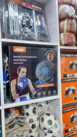 Boxing Training Machine