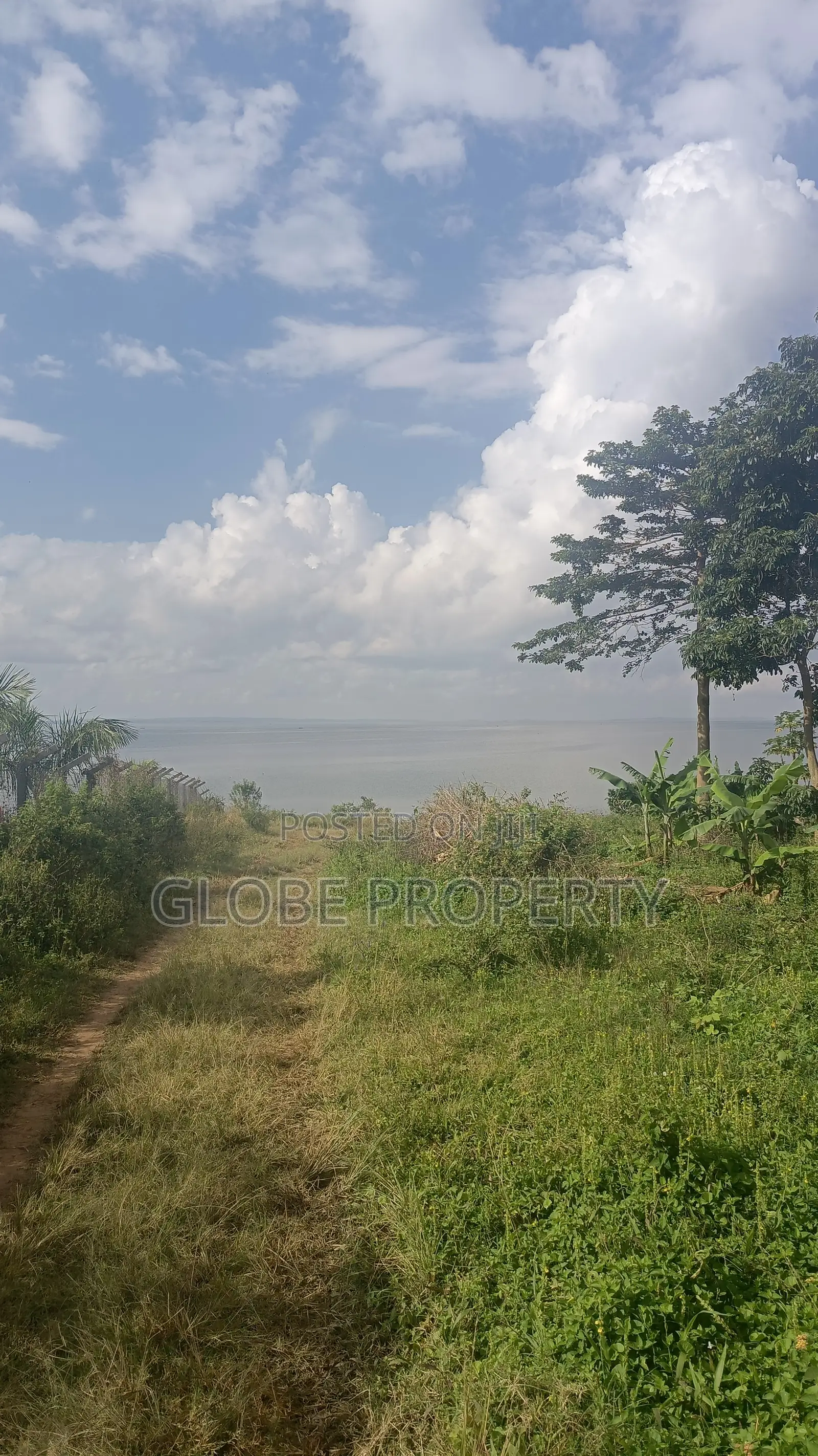 100 Acres of Farm Land for Sale in Kayunga Touching the River.