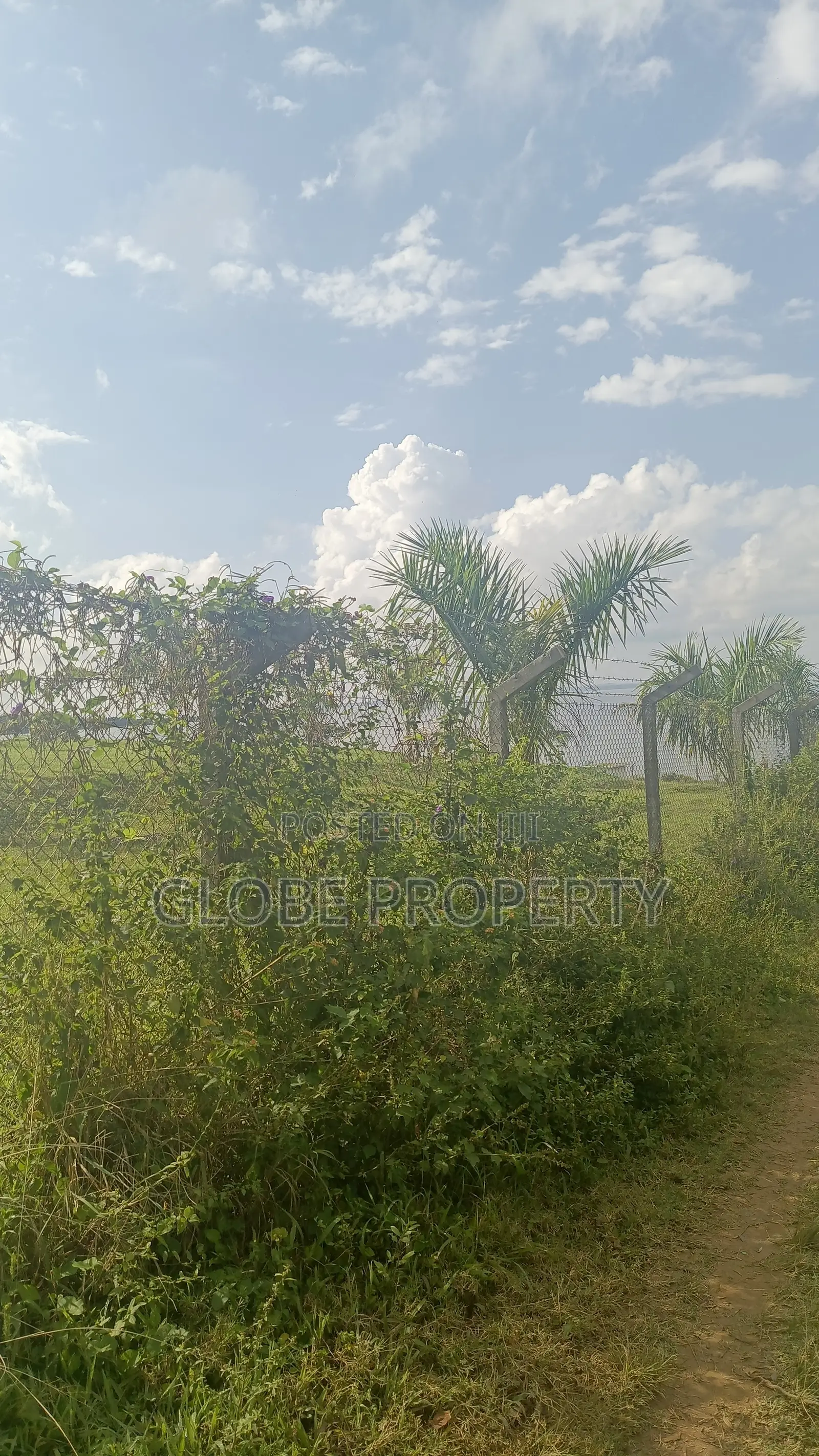 100 Acres of Farm Land for Sale in Kayunga Touching the River.