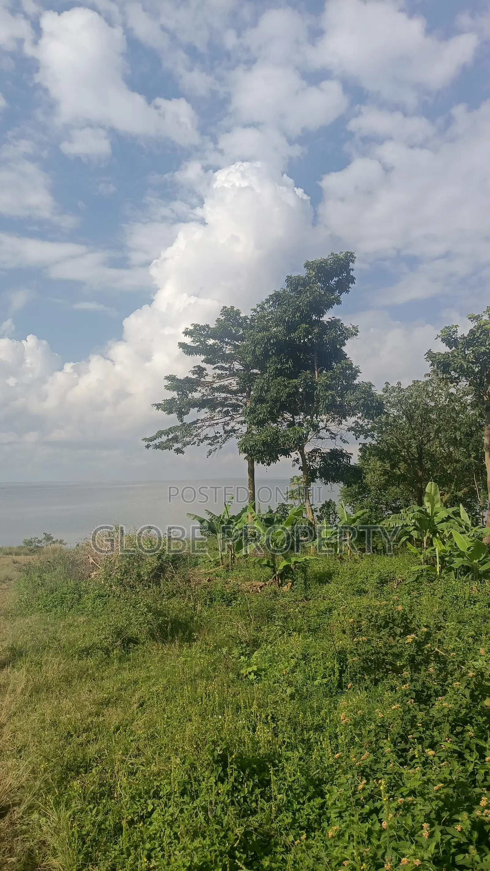 100 Acres of Farm Land for Sale in Kayunga Touching the River.