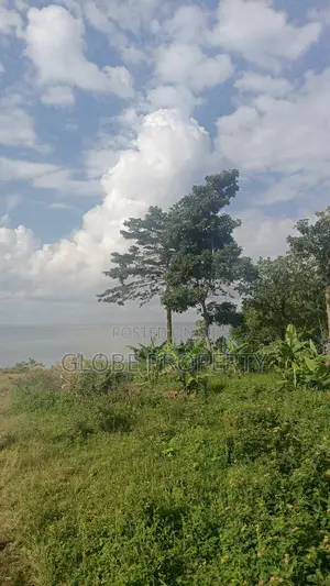 100 Acres of Farm Land for Sale in Kayunga Touching the River.