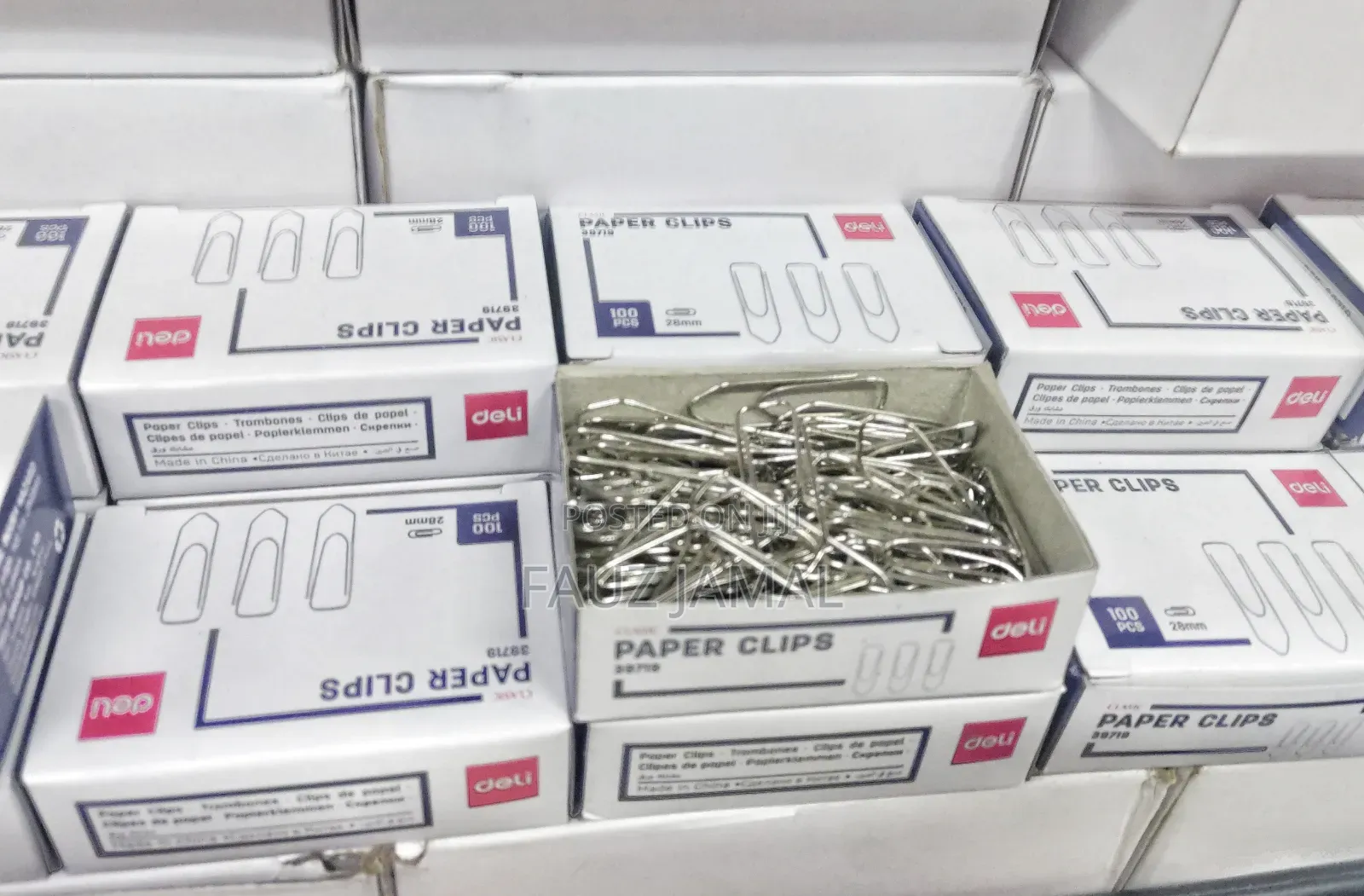 Paper Clips 100 Piece