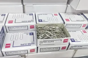 Paper Clips 100 Piece