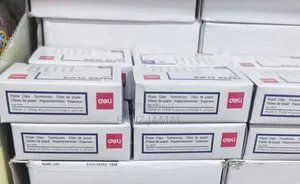 Paper Clips 100 Piece