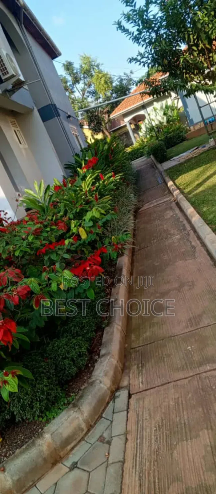 High Quality Flowers and Plants, Blossom Into Beauty