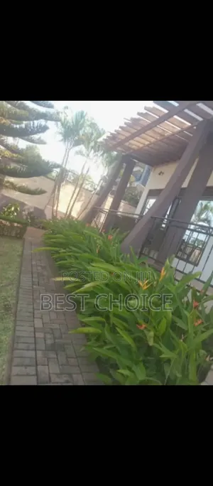 High Quality Flowers and Plants, Blossom Into Beauty
