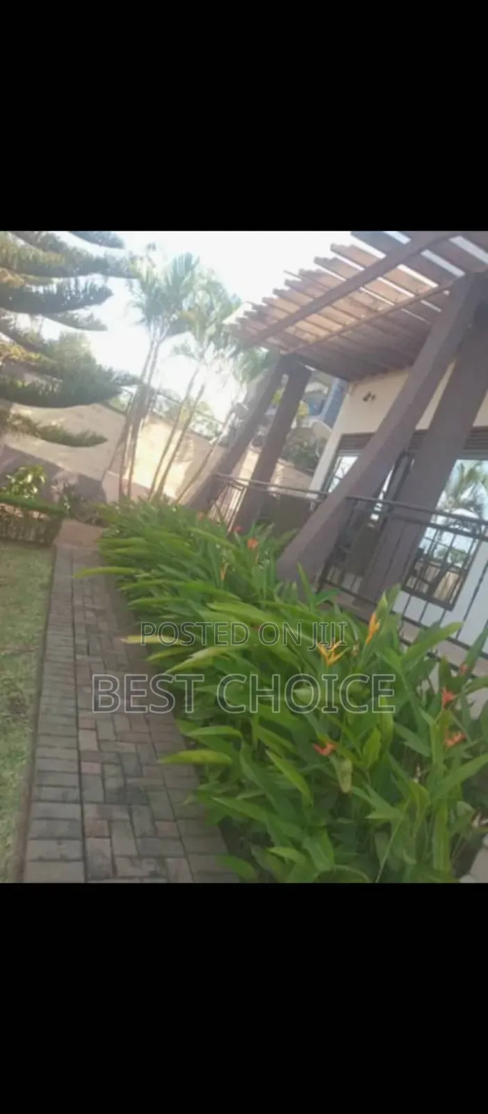 High Quality Flowers and Plants, Blossom Into Beauty