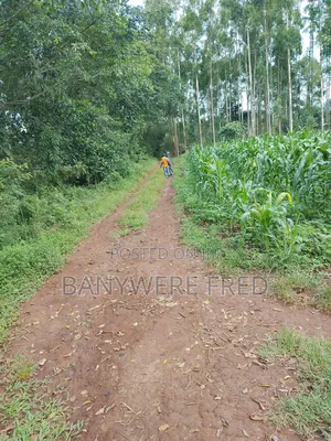 50/100 Plot for Sale in Sonde Tranding Centre