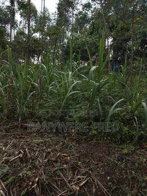 50/100 Plot for Sale in Sonde Tranding Centre