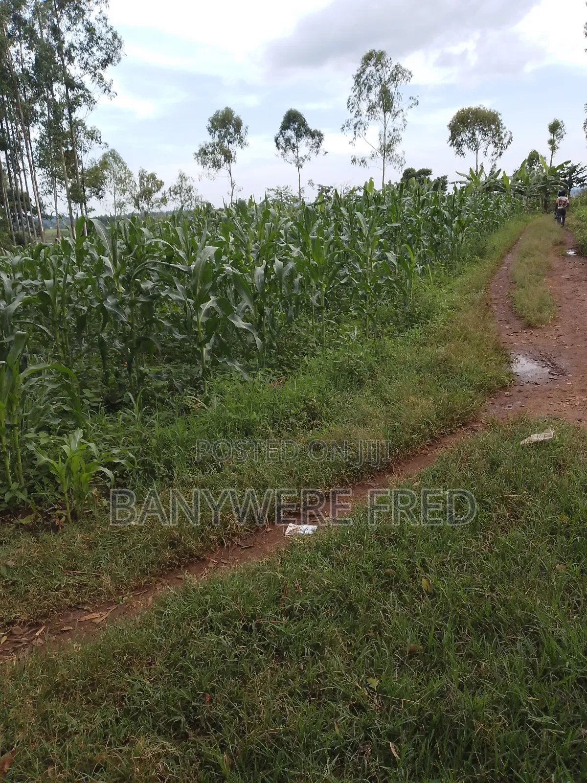 4 Acres for Sale in Namave Industrial Park