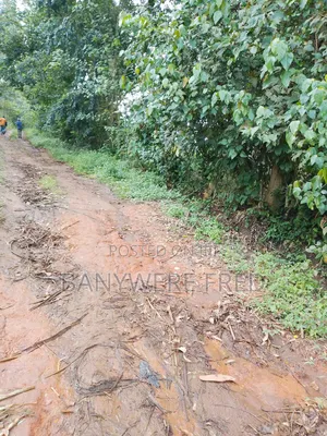 5 Acres on Sale in Namilyago Mukono