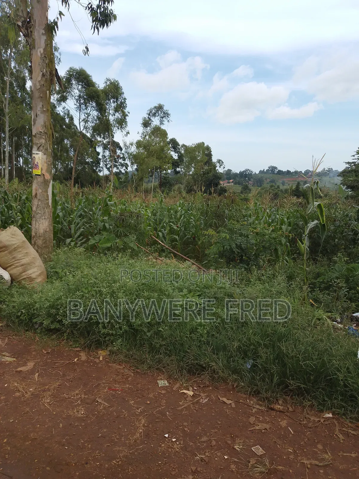 5 Acres on Sale in Namilyago Mukono