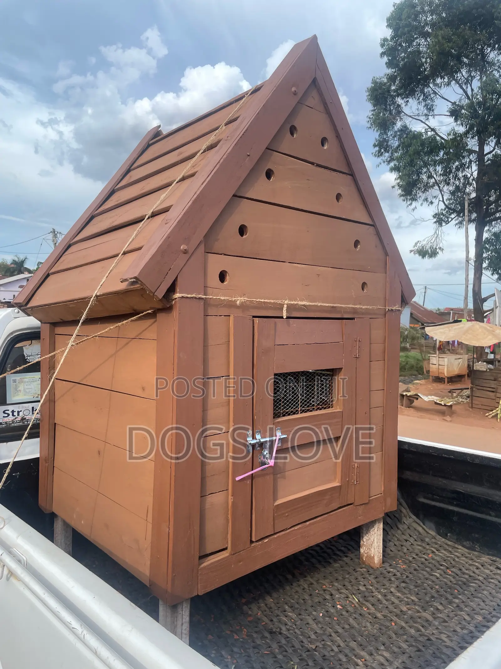 Kennels for Dogs