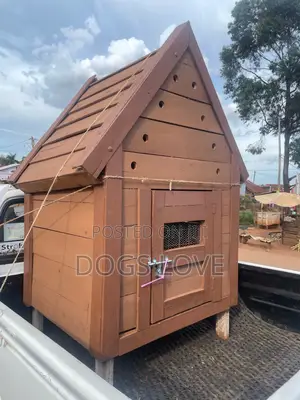 Kennels for Dogs