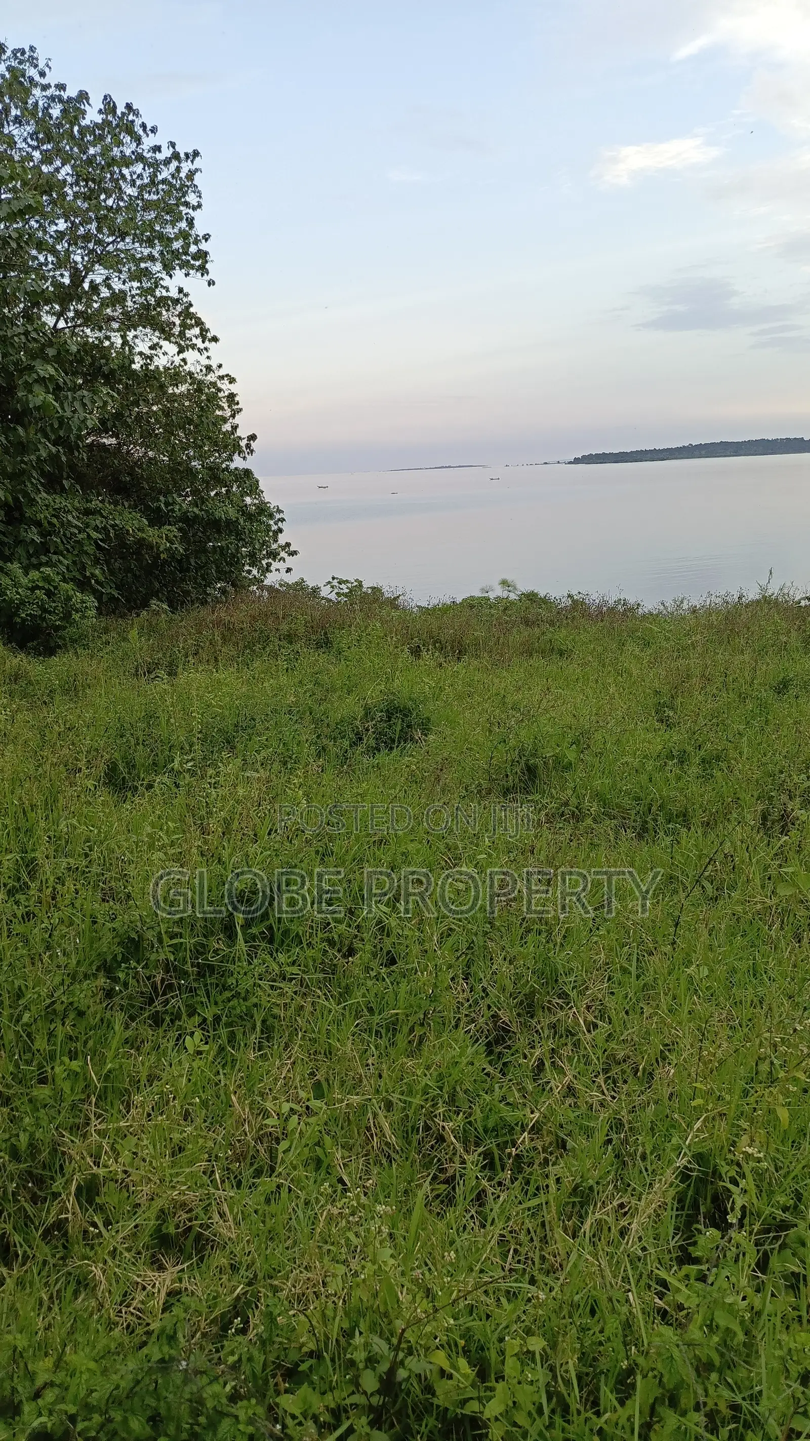 42 Acres of Farm Land for Sale Touching River Nile