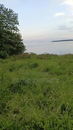 42 Acres of Farm Land for Sale Touching River Nile