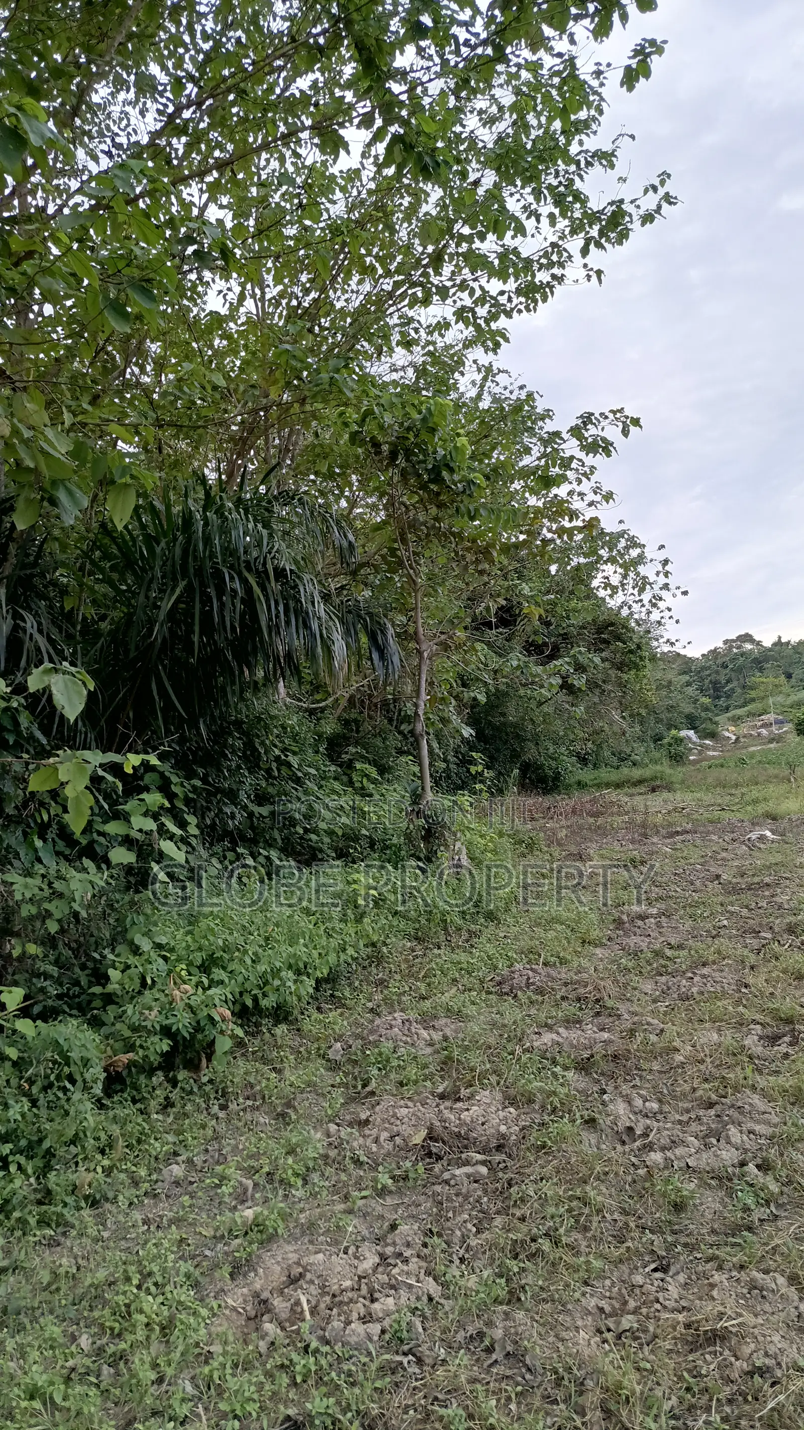 42 Acres of Farm Land for Sale Touching River Nile
