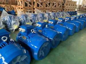 1hp,2hp,3hp,4hp,5.5hp,7.5hp,10hp Single 3phase Motors in All Sizes