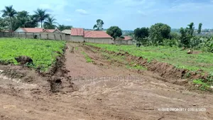 Prime Plots for Sale at Wakiso~Sala Sweetilicious Estate~Hoima Road.