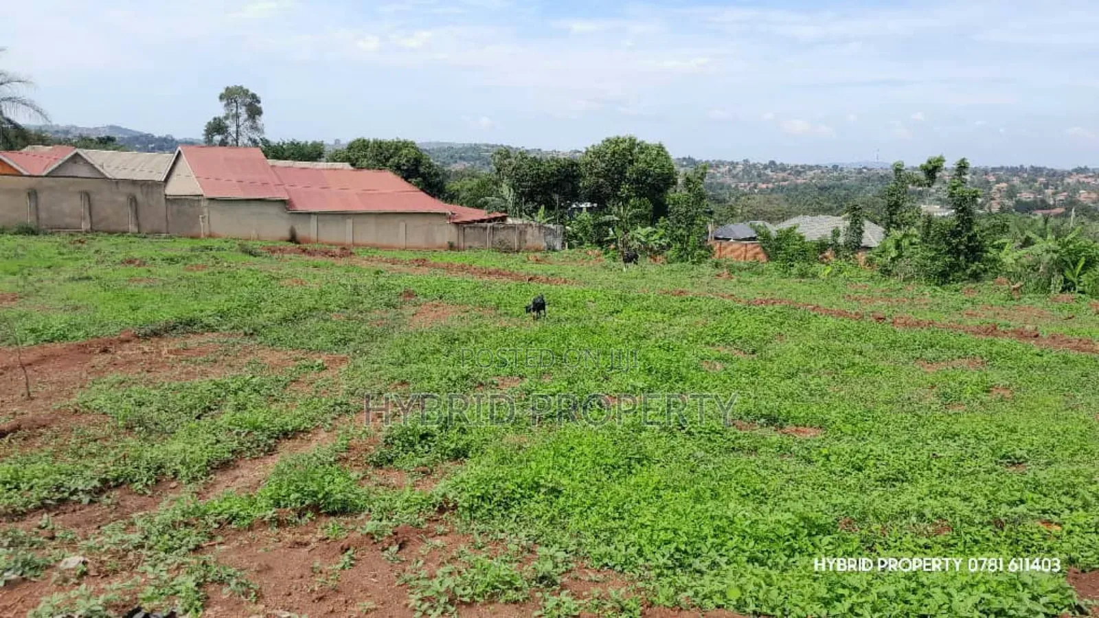 Prime Plots for Sale at Wakiso~Sala Sweetilicious Estate~Hoima Road.