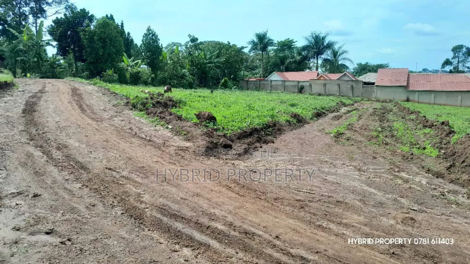 Prime Plots for Sale at Wakiso~Sala Sweetilicious Estate~Hoima Road.