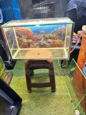 Transparent Aquarium