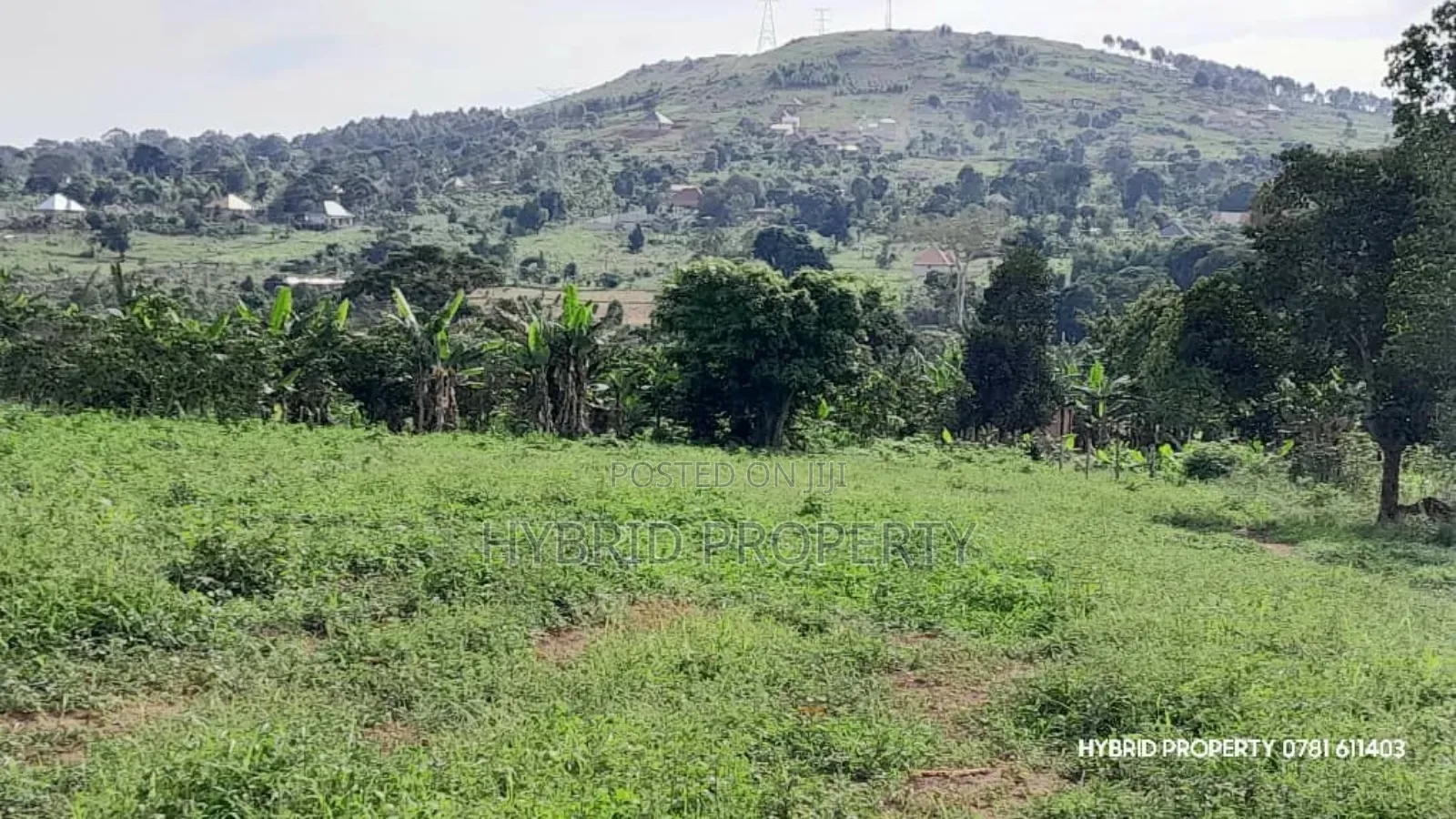 Prime Plots for Sale at Mpigi~Kalagala Elite Land Estate~Masaka Road.