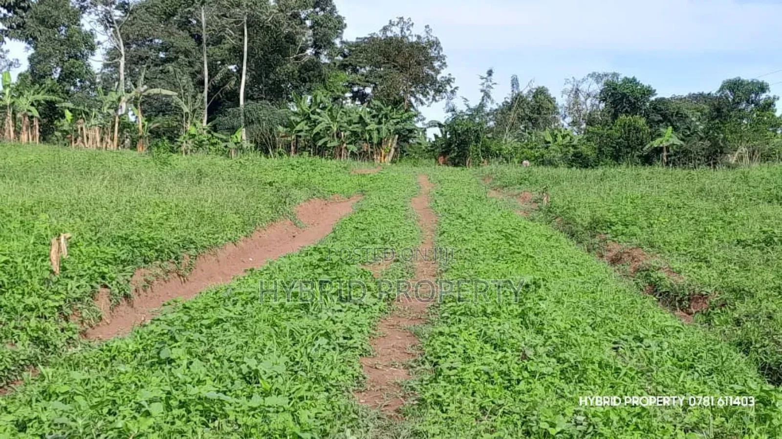 Prime Plots for Sale at Mpigi~Kalagala Elite Land Estate~Masaka Road.
