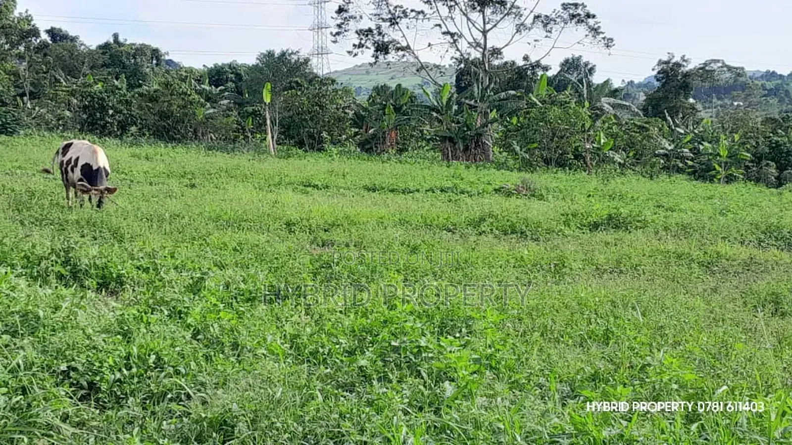 Prime Plots for Sale at Mpigi~Kalagala Elite Land Estate~Masaka Road.