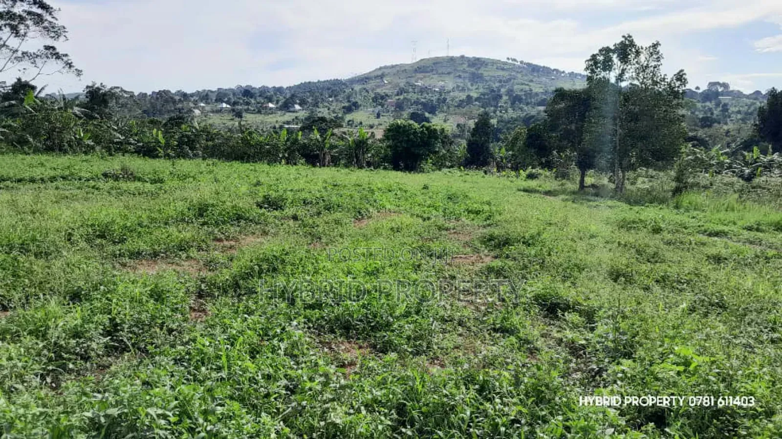 Prime Plots for Sale at Mpigi~Kalagala Elite Land Estate~Masaka Road.