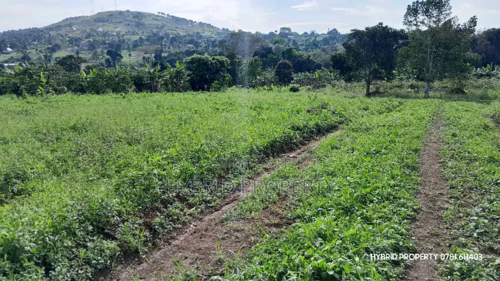 Prime Plots for Sale at Mpigi~Kalagala Elite Land Estate~Masaka Road.