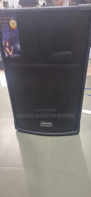 Villidor 12" Top Speaker