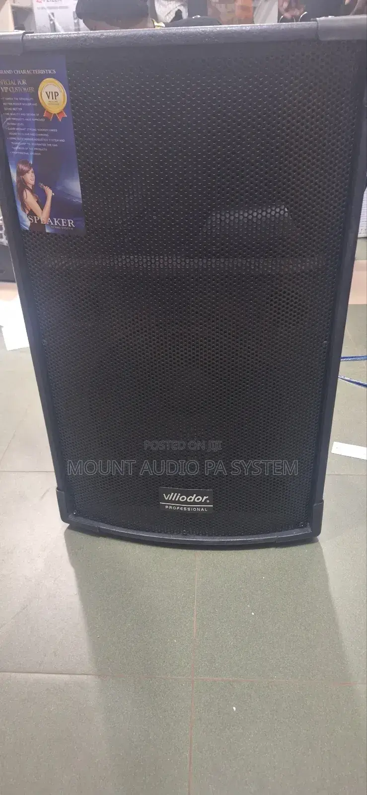 Villidor 12" Top Speaker