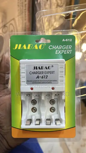 Jiabao Battery Charger