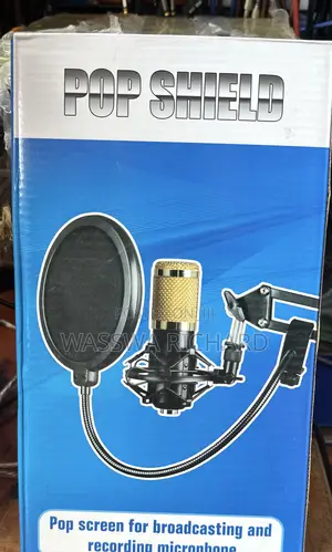 Pop Filters