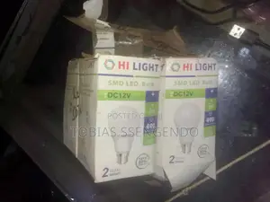 2 Watts Solar Bulb