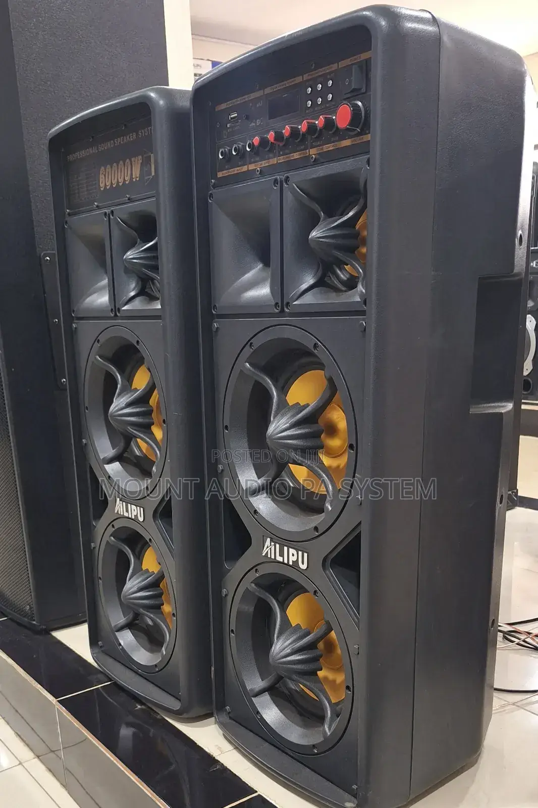 Professional Speaker System 60000 W