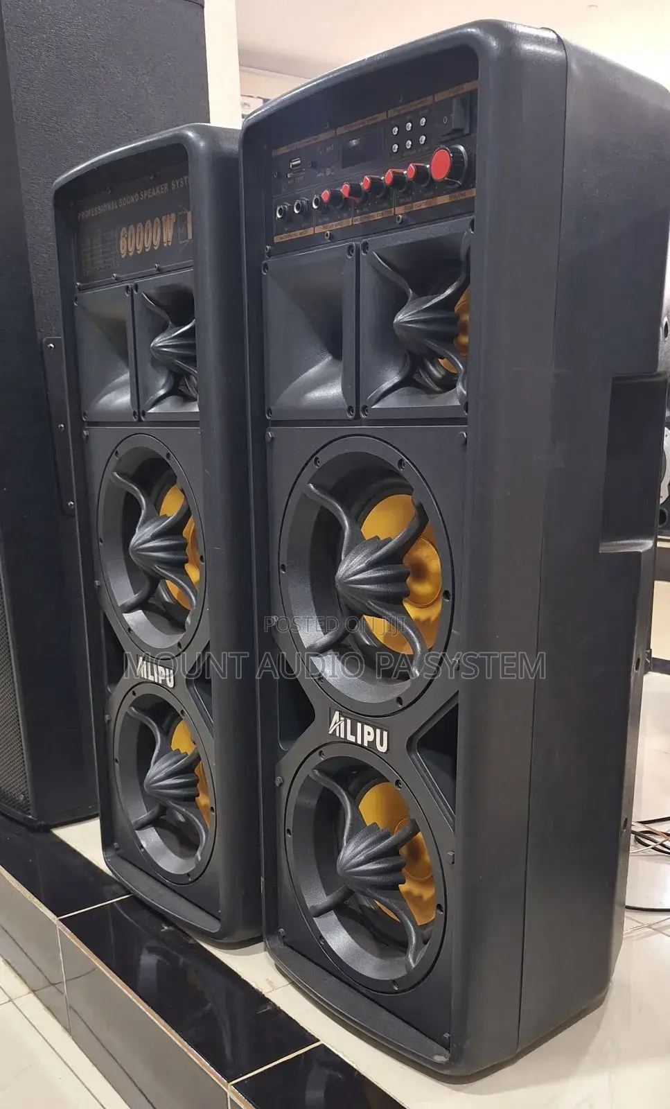Professional Speaker System 60000 W