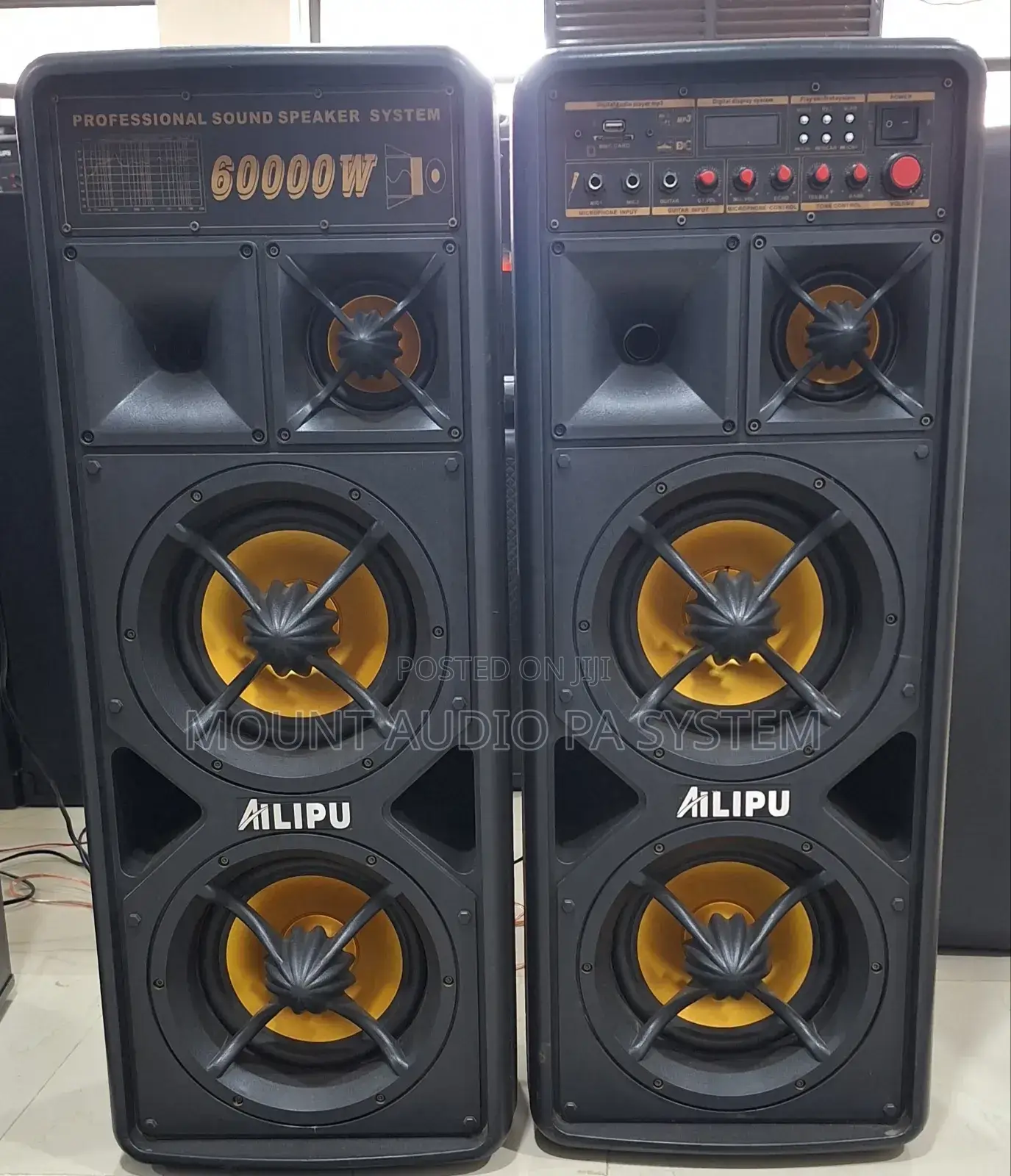 Professional Speaker System 60000 W