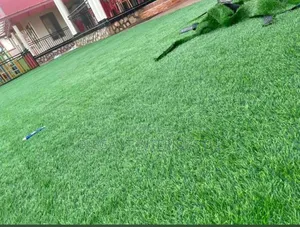 Artificial Grass Carpets at Favorable Price for Compounds