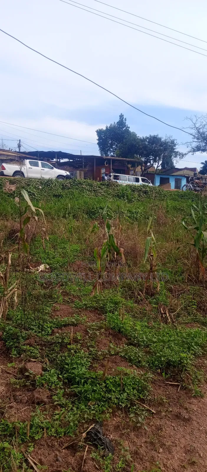 1.2 Acres Of Land In Kyengera Touching On Masaka Main Highway Road
