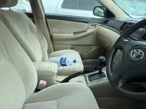 Toyota Allex 2006 White