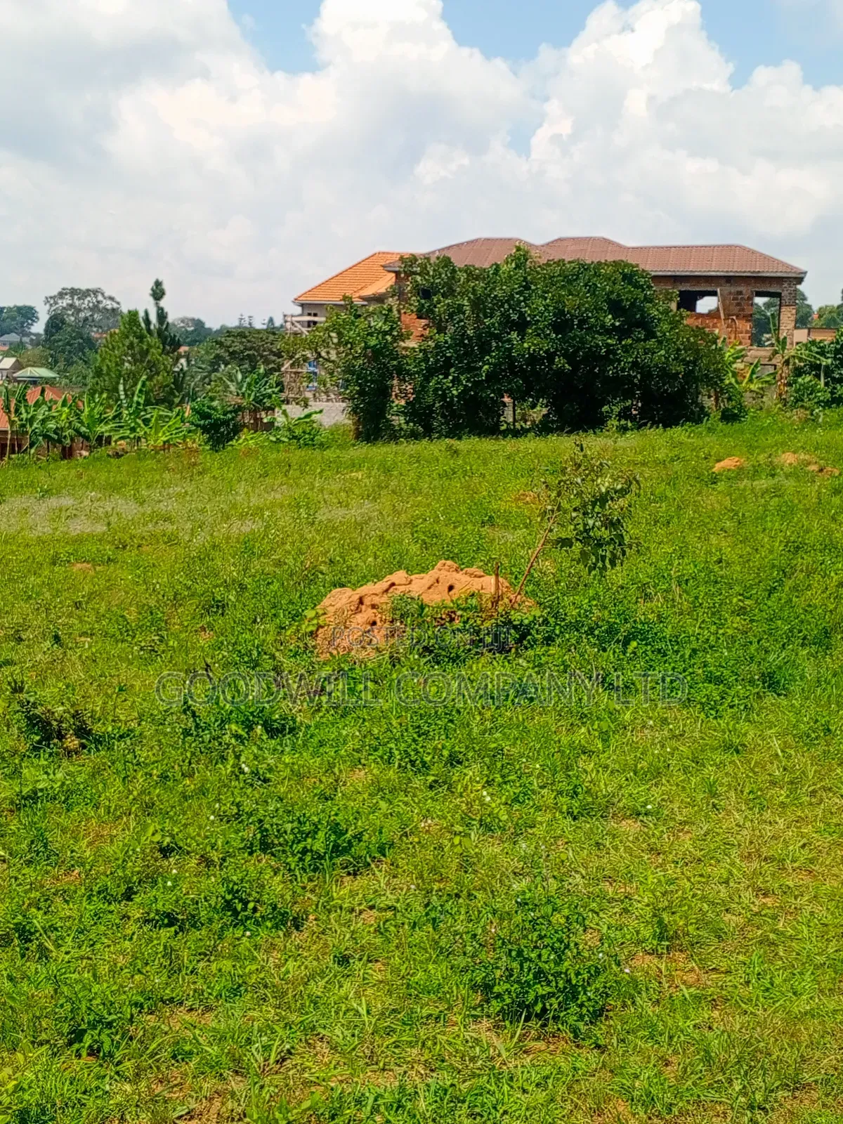 Lake Victoria View 2 Acres of Land in Bulega Garuga