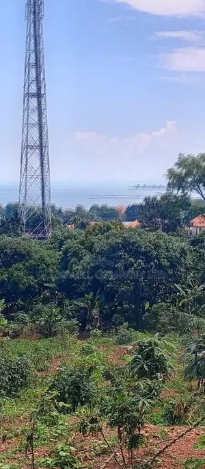 3 Acres of Land Entebbe Road in Garuga Bulega