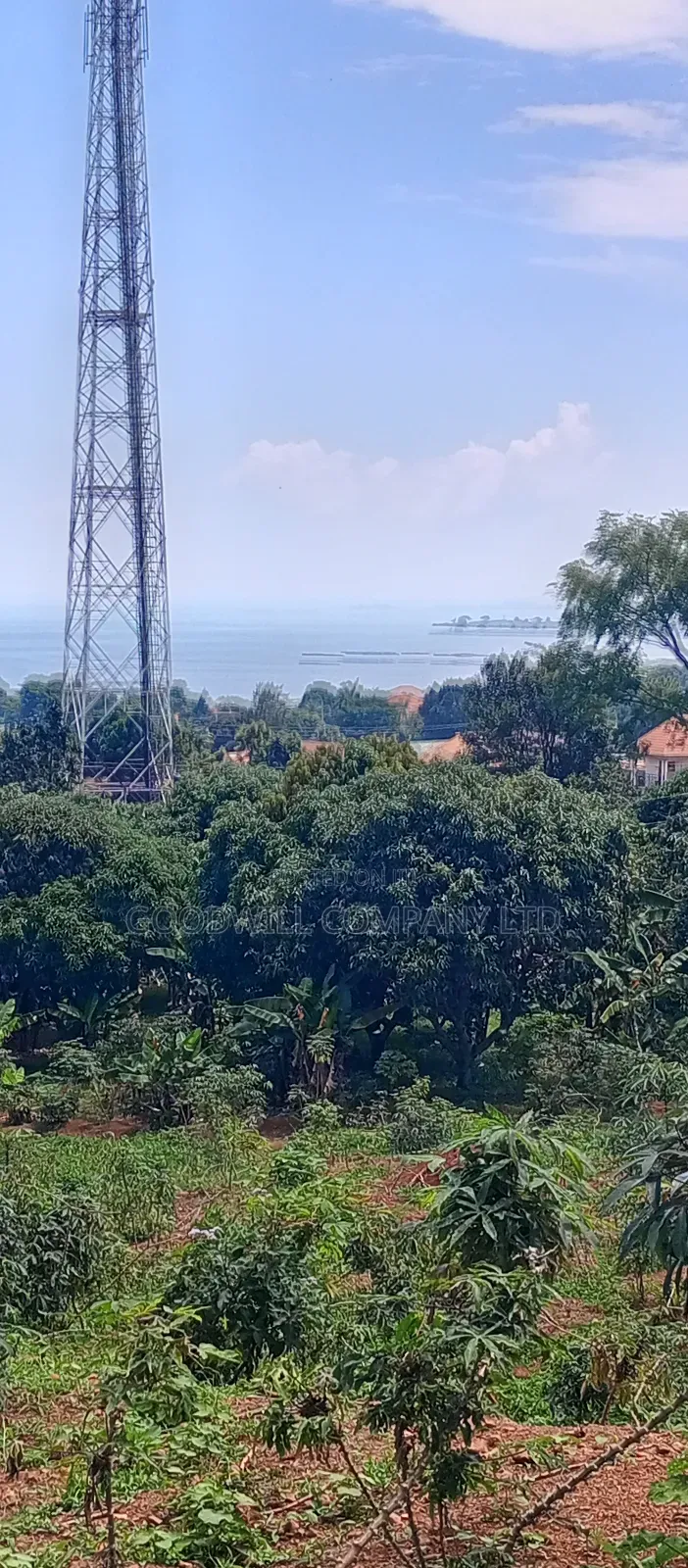 3 Acres of Land Entebbe Road in Garuga Bulega