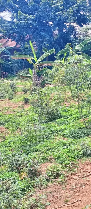 3 Acres of Land Entebbe Road in Garuga Bulega