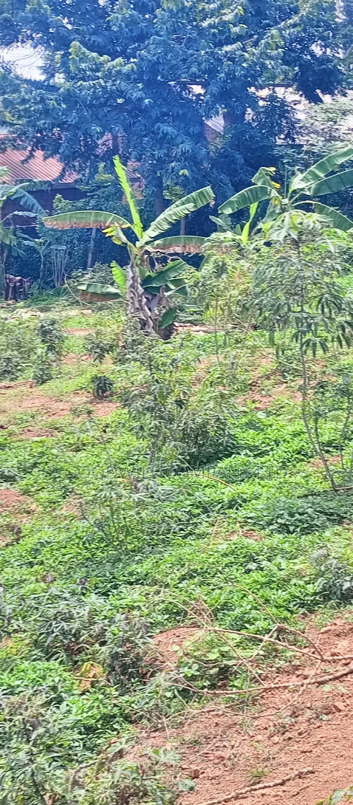 3 Acres of Land Entebbe Road in Garuga Bulega